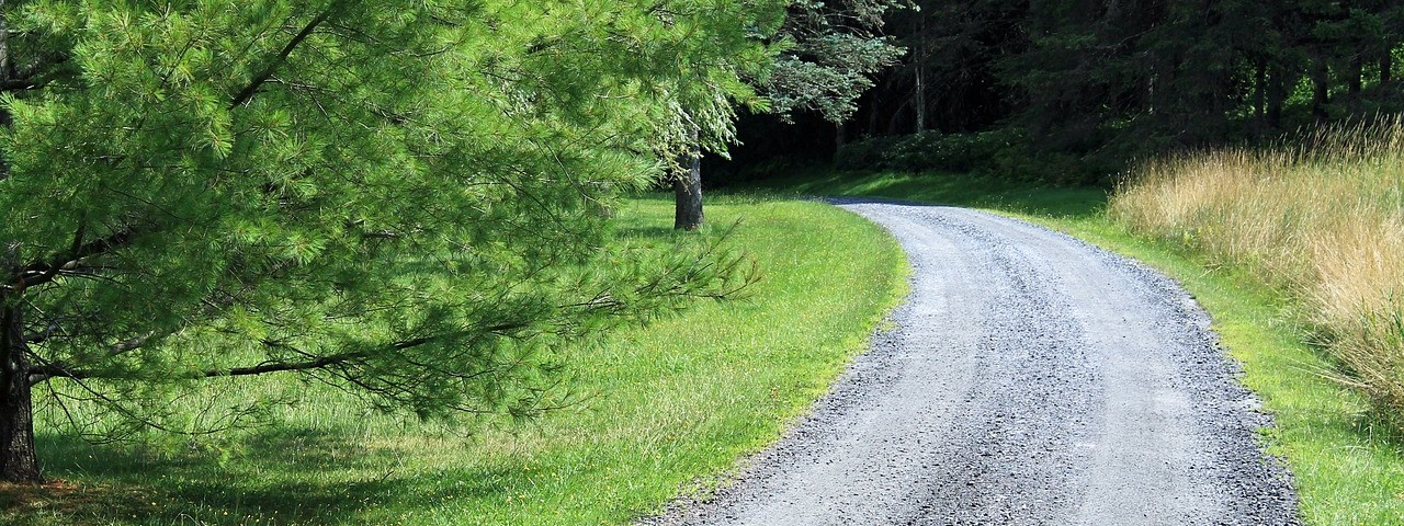 Vue sur Chemin forestier à Val de Vesle 51 Marne