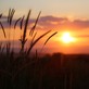 Image de couverture : Locations de vacances à Saint-Amand-sur-Fion