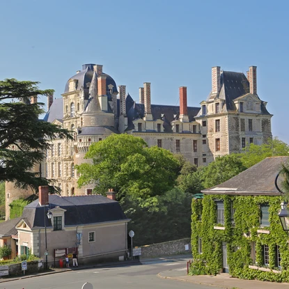 Château de Brissac vu depuis le village de Brissac-Quincé.