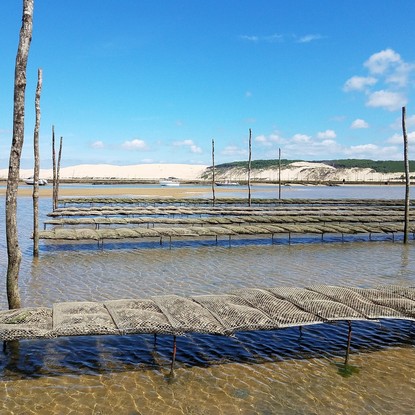 Image de couverture : Locations de vacances au Bassin d'Arcachon