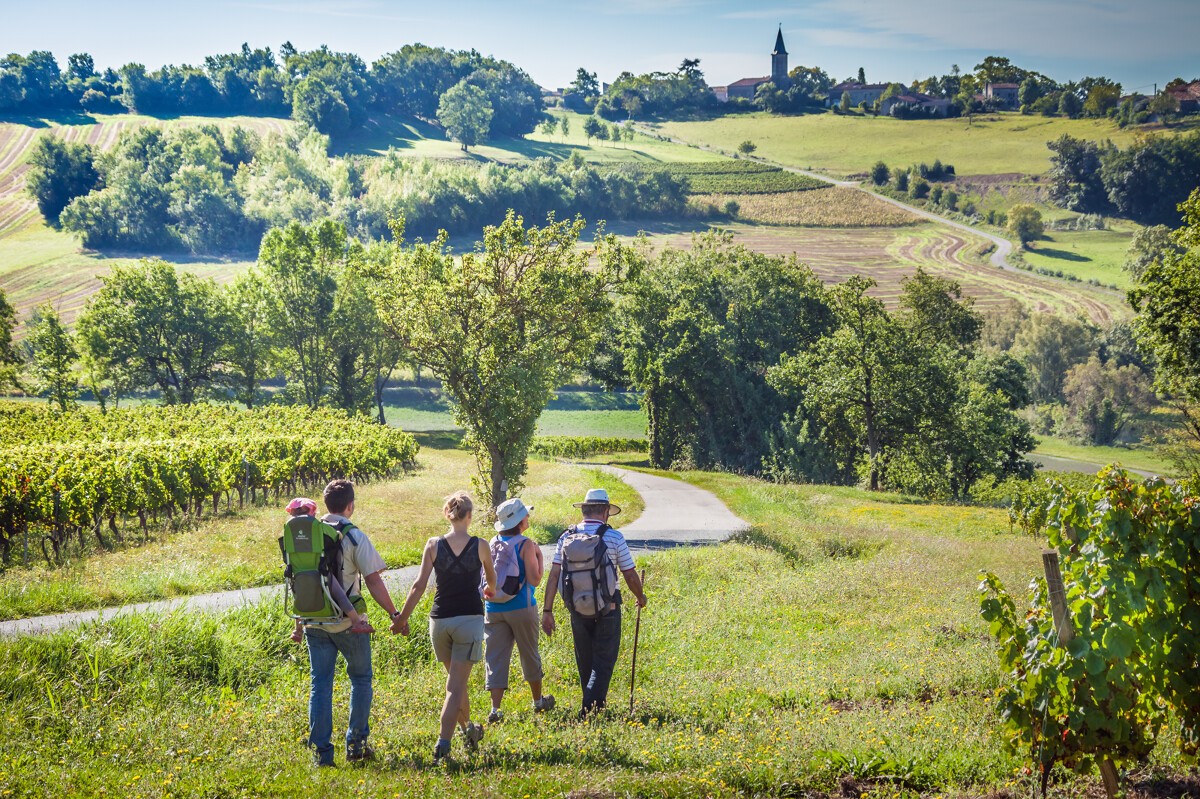 Cover image: Découvrez les Vignobles de Gaillac : Séjour en Gîtes et Chambres d'Hôtes