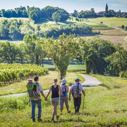 Cover image: Découvrez les Vignobles de Gaillac : Séjour en Gîtes et Chambres d'Hôtes