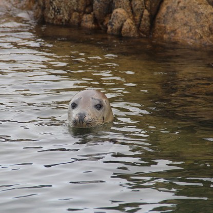 Image de couverture : Gîtes et locations à Ploubazlanec, vue mer et plages de sable face à Bréhat