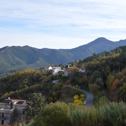 Copyright Foglìa Design