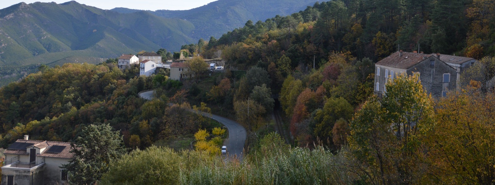 Copyright Foglìa Design