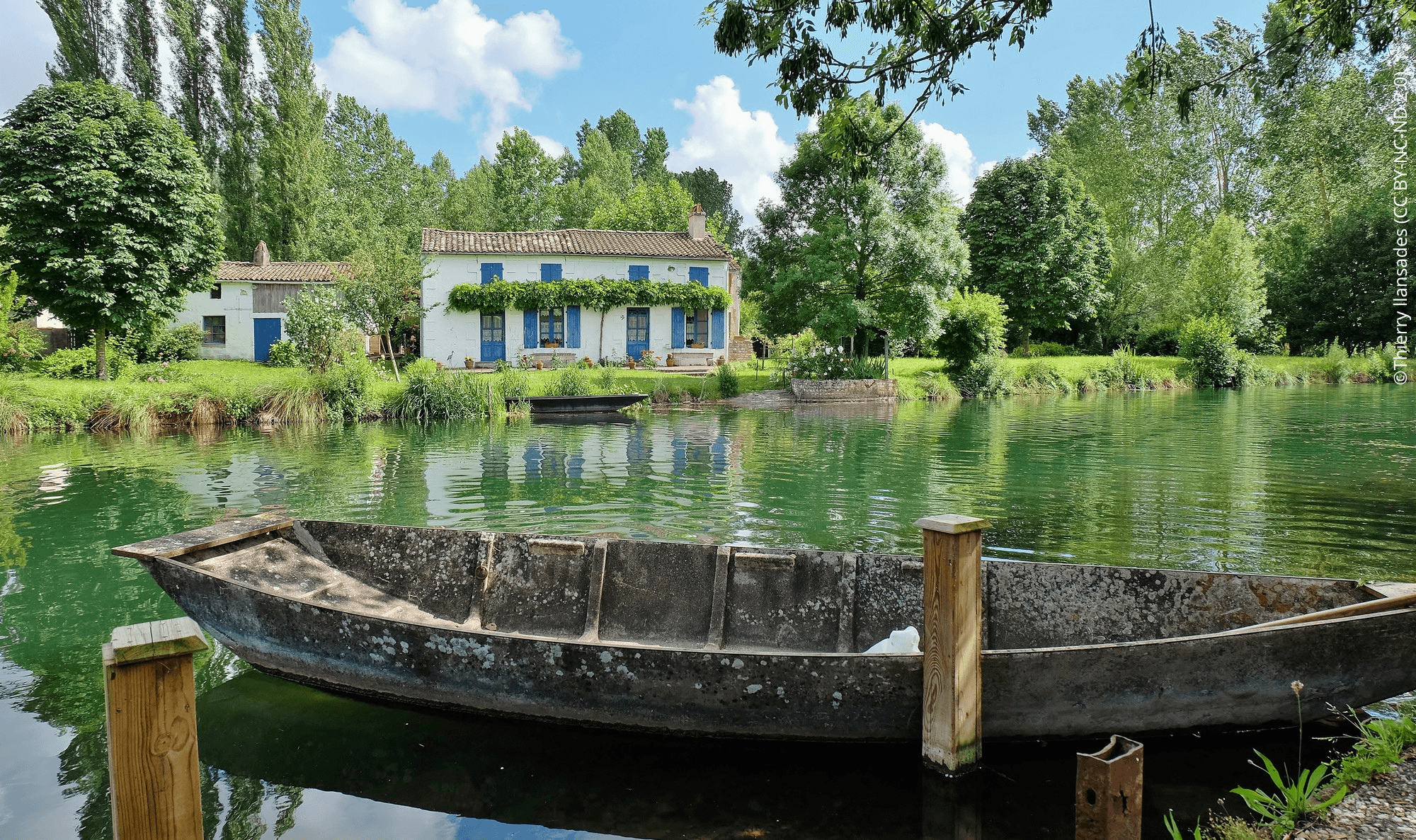 Barque amarrée sur le marais aussi appelé Venise Verte devant une maison maraîchine entourée de verdure.