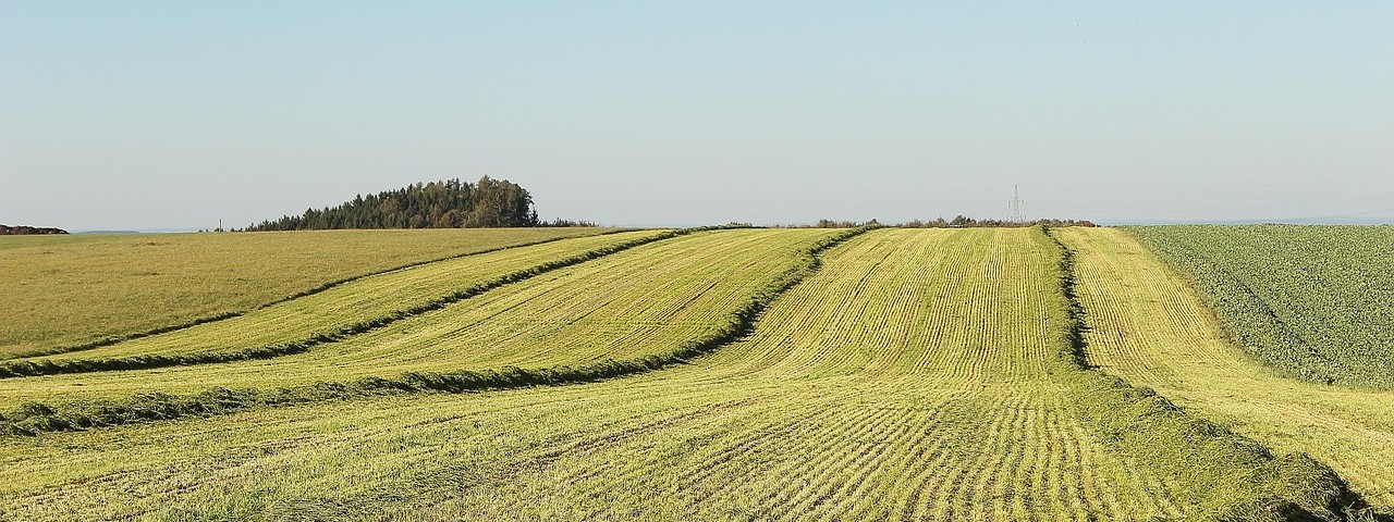Vue sur les Champs et la nature à Germinon 51 Marne