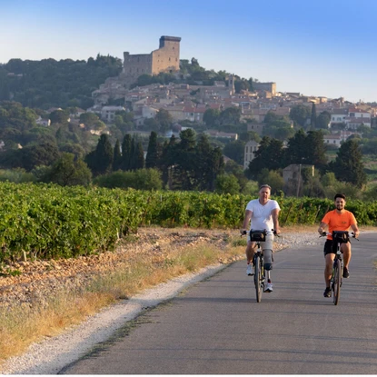 Cover image: Location de vacances Châteauneuf-du-Pape et ses vignobles prestigieux