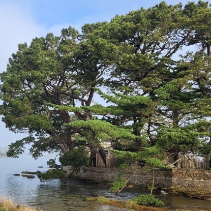 Image de couverture : Chambre d’hôtes à Trébeurden, charme breton sur la côte