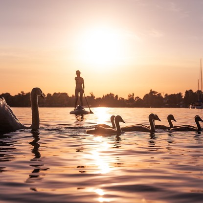 Vue sur le lac de la foret d'orient Aube 10