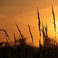 Image de couverture : Locations de vacances à Condé-sur-Marne