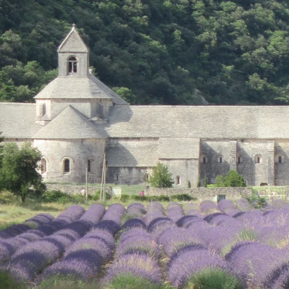Cover image: Location de vacances près de l’Abbaye de Sénanque