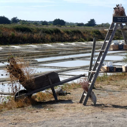 Image de couverture : Île d'Oléron
