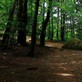 Image de couverture : Locations de vacances à Baye