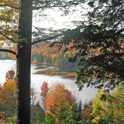 Vue sur le lac de la foret d'orient à Dienville 10 Aube
