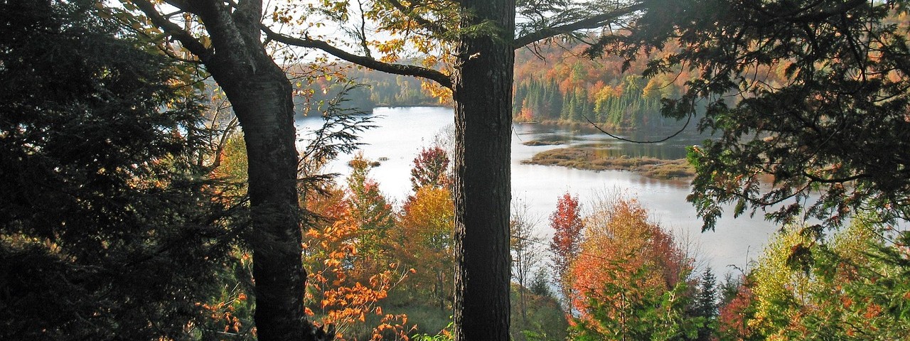 Vue sur le lac de la foret d'orient à Dienville 10 Aube