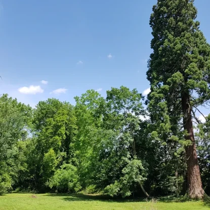 Vue sur la nature à Villers-Allerand (51), Marne