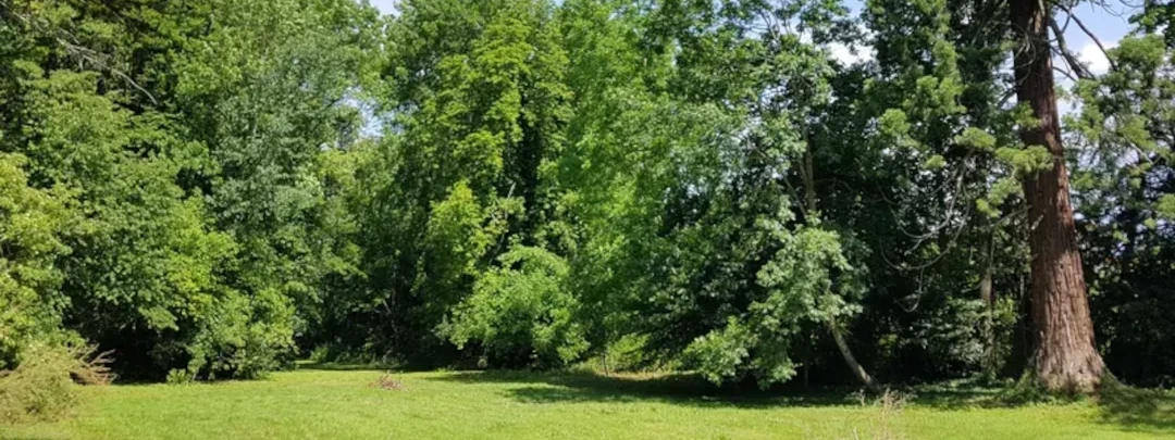 Vue sur la nature à Villers-Allerand (51), Marne