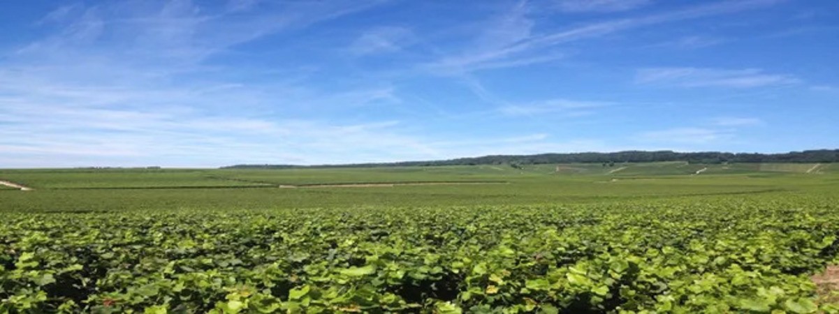 Image de couverture : Location de vacances à Vitry-le-François