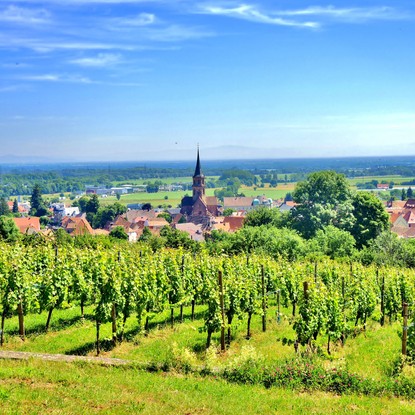 Cover image: Route des Vins d’Alsace : découvrez les villages viticoles