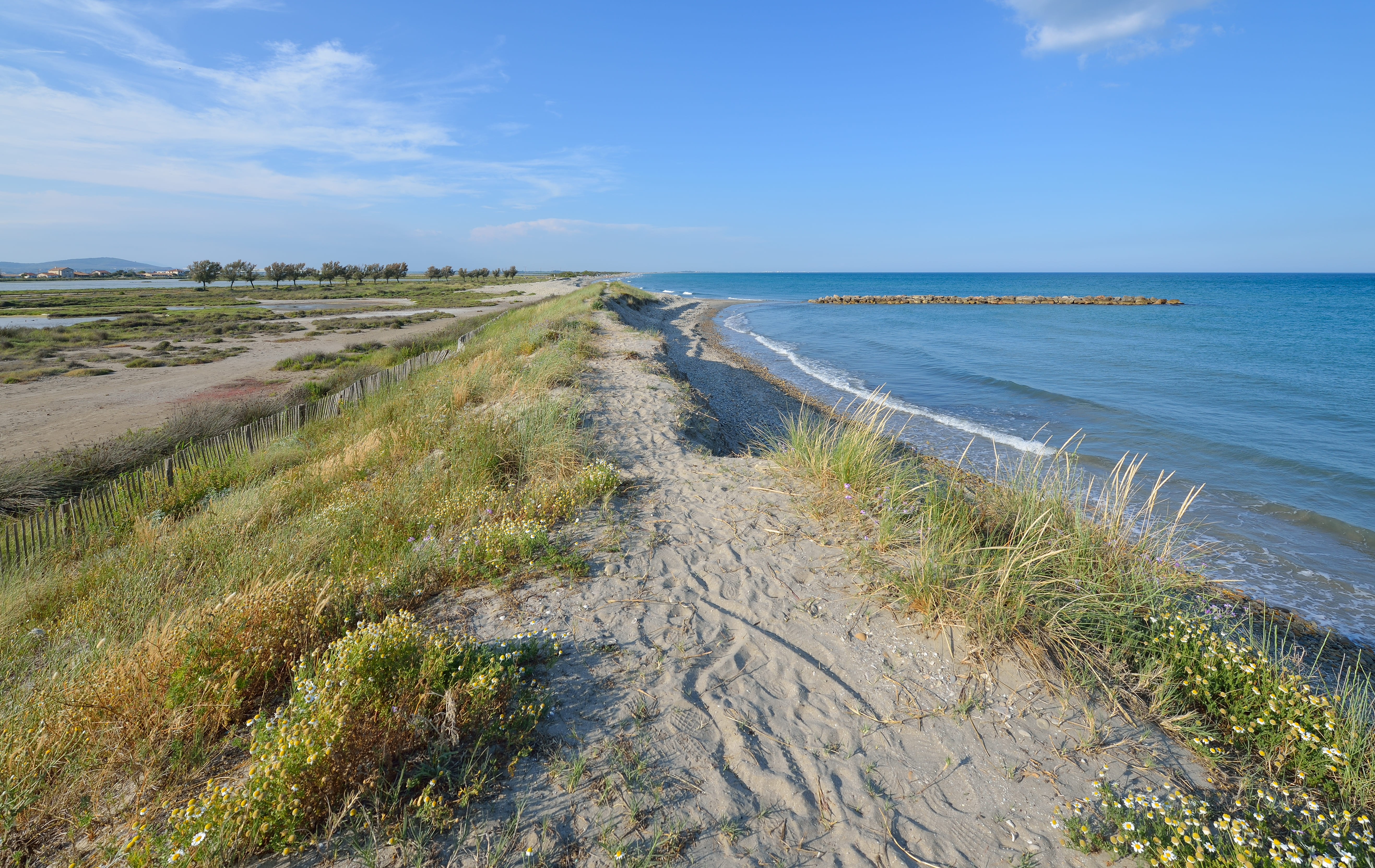 Cover image: Location de vacances à Frontignan