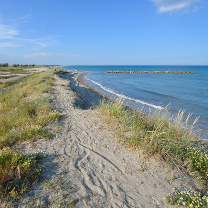 Cover image: Location de vacances à Frontignan