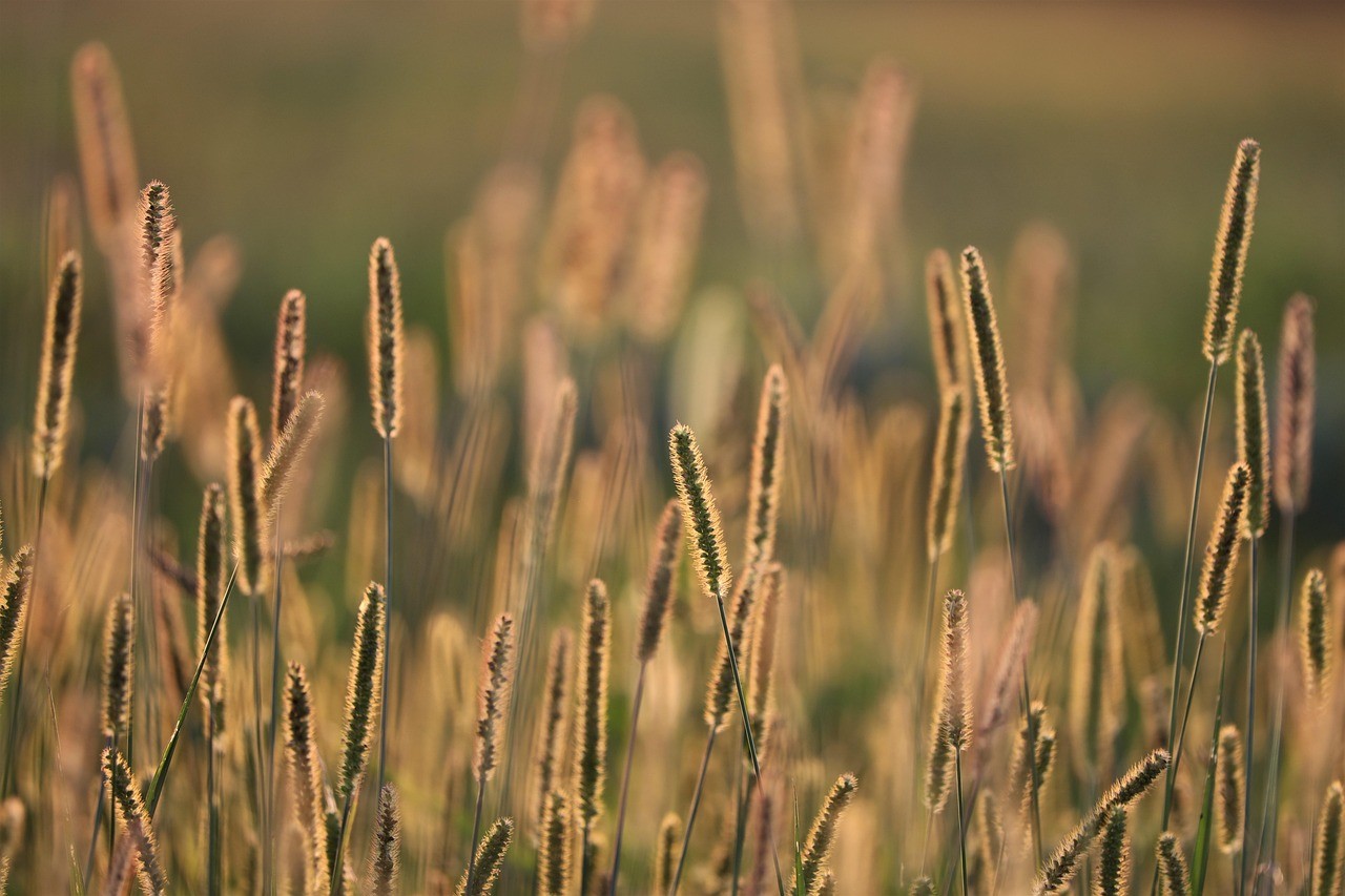 View of nature and fields at Éclance 10 Aube