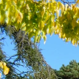Cover image: Holiday rentals in Cholet
