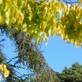 Cover image: Holiday rentals in Cholet