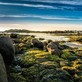 Image de couverture : Location de vacances Trégor