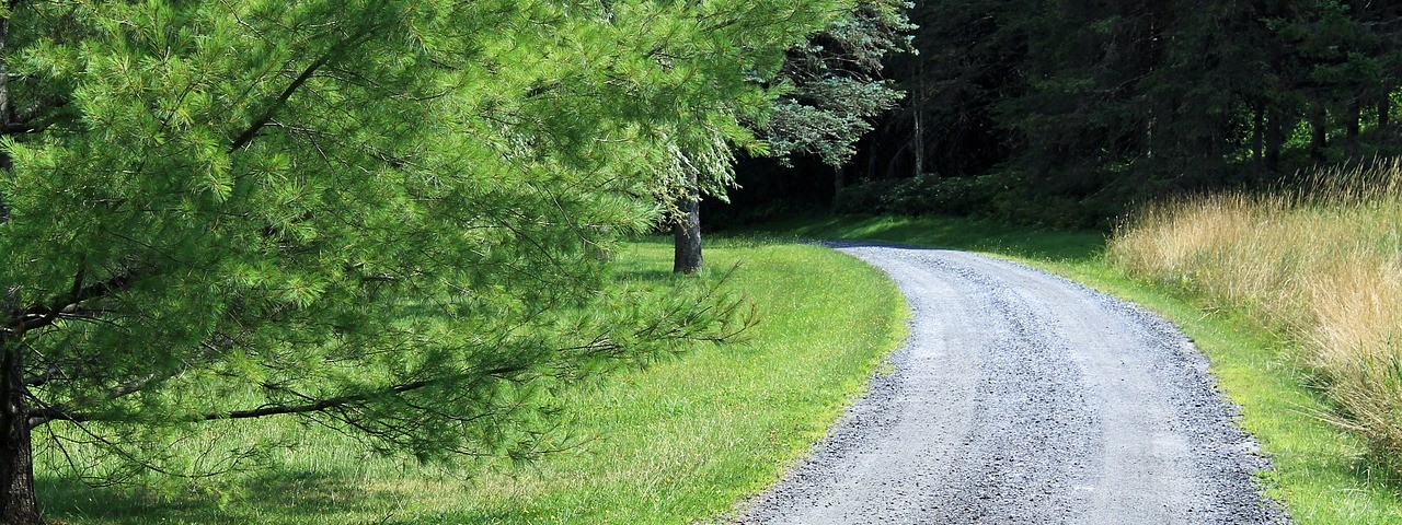 Vue sur l'entrée d"une foret à Bucey-en-Othe 51 Marne