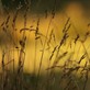Image de couverture : Locations de vacances à Saint-Gibrien