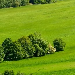 Vue de Bar-les-buzancy dans les ardennes