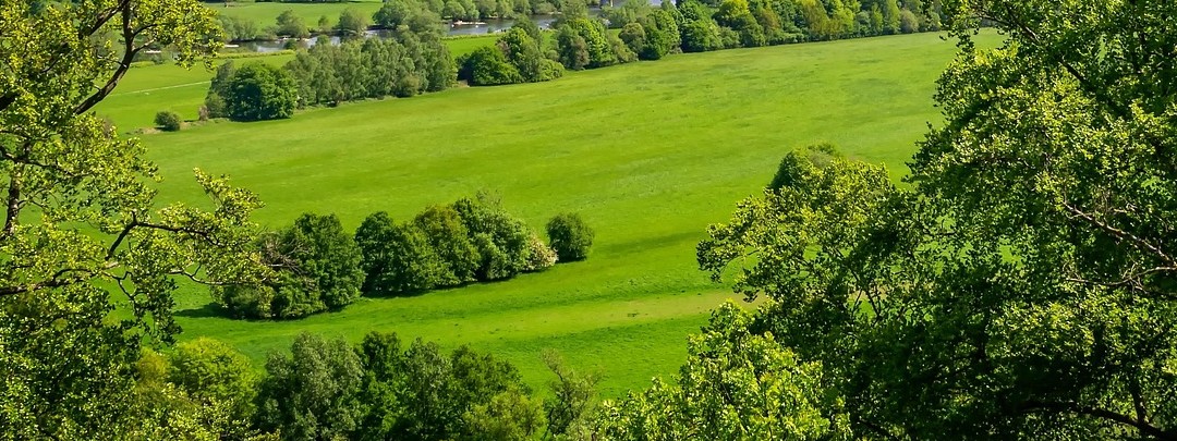View of Bar-les-Buzancy in the Ardennes