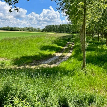 Vue sur la nature Sezannes 51 Marne