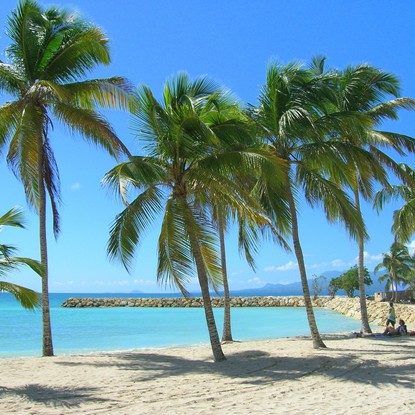 Cover image: Location de vacances en Guadeloupe