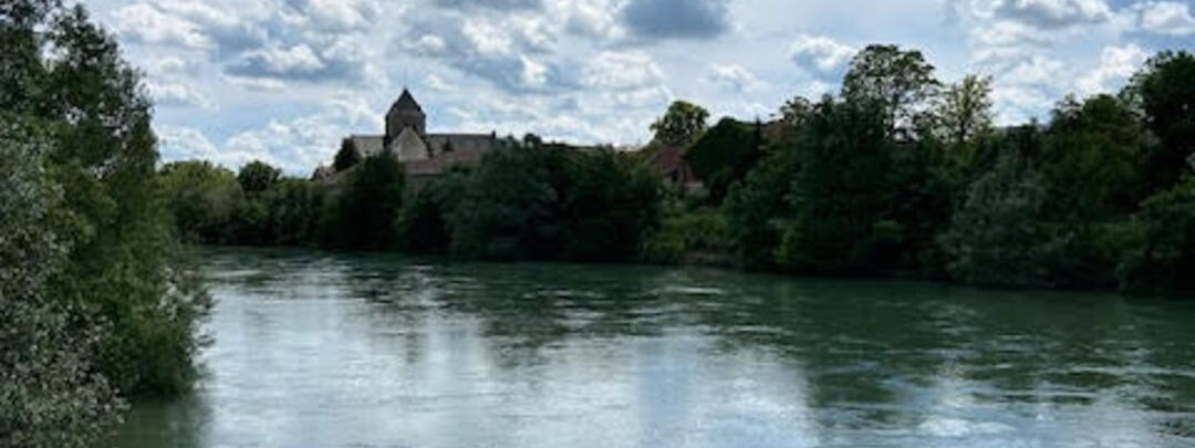 Vue de Matougues 51 dans la Marne au bord de la rivière