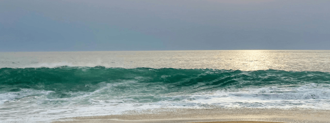 Cover image: Holiday rentals in Seignosse