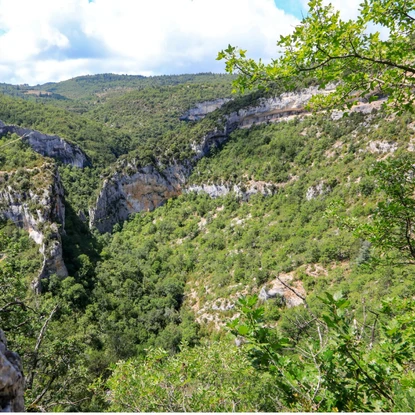 Cover image: Gorges de la Nesque : paysage sauvage et routes spectaculaires du Vaucluse