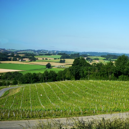 Image de couverture : Explorez les Vignobles de Madiran : Entre Terroir, Collines et Dégustations