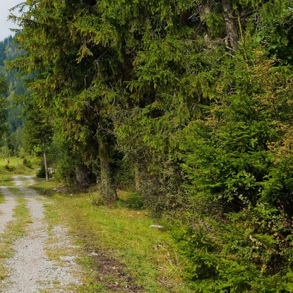 Image de couverture : Gîtes à Les Alleux