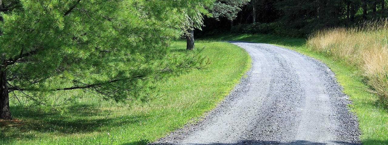 Vue sur Chemin forestier à Val de Vesle 51 Marne