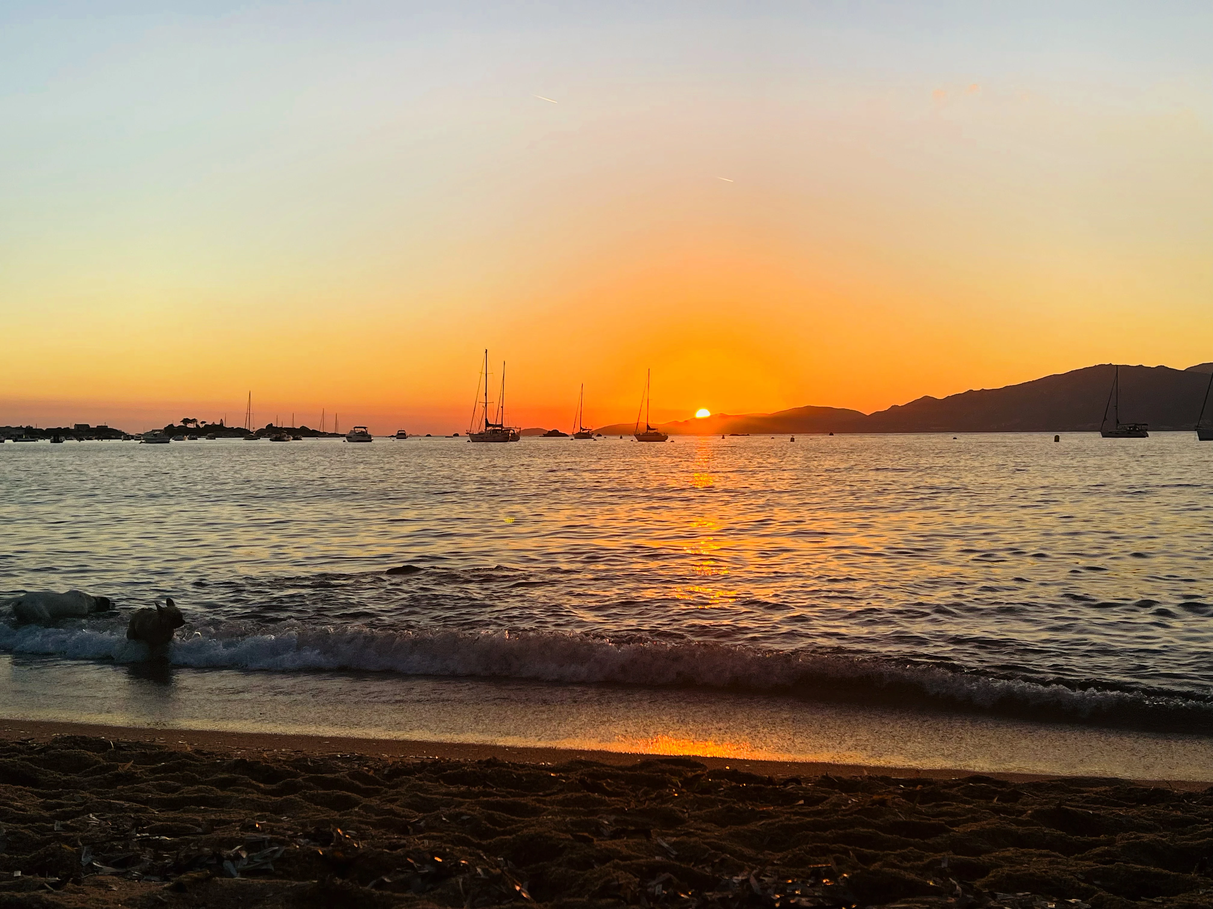 Image de couverture : Corse du Sud : lumière, mer turquoise et art de vivre insulaire