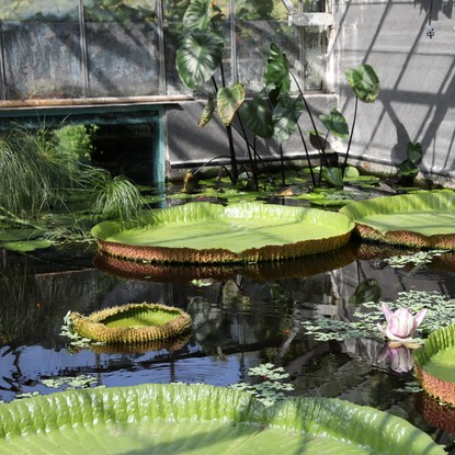 Image de couverture : Le parc des nénuphars de Latour Marliac