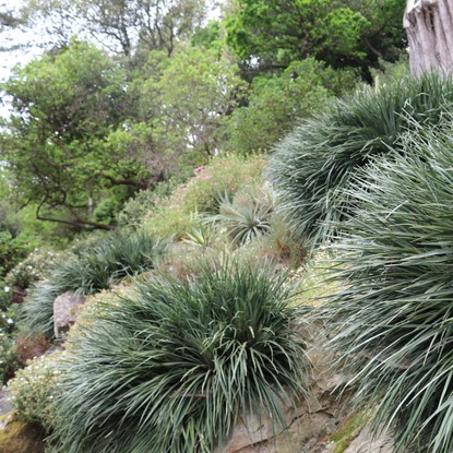 Image de couverture : Location de vacances à Plouguiel