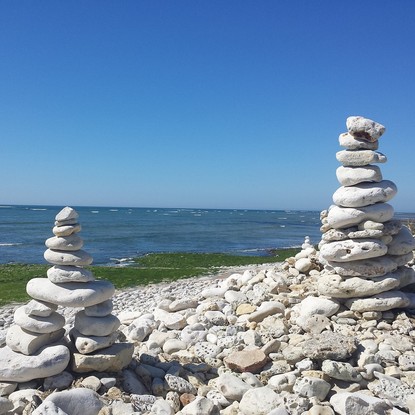 Image de couverture : Location de vacances à l'Ile d'Oléron avec piscine