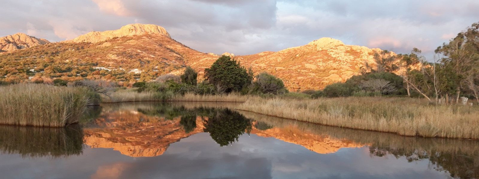 Paysage de Calvi au coucher du soleil, avec montagnes dorées et étang reflétant la lumière