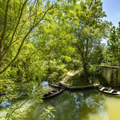 Personnes se promenant sur un pont passant au-dessus du Marais Poitevin à Benet, avec des barques sur l’eau verte et des arbres qui dominent le paysage.