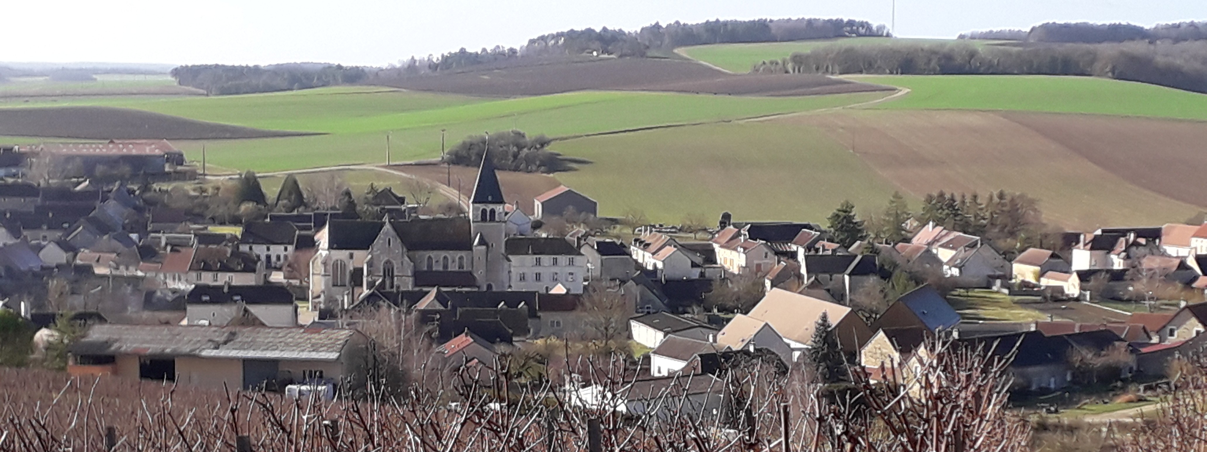 Vue de Bagneux la Fosse dans l'aube 10