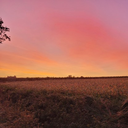 Vue campagne bretonne